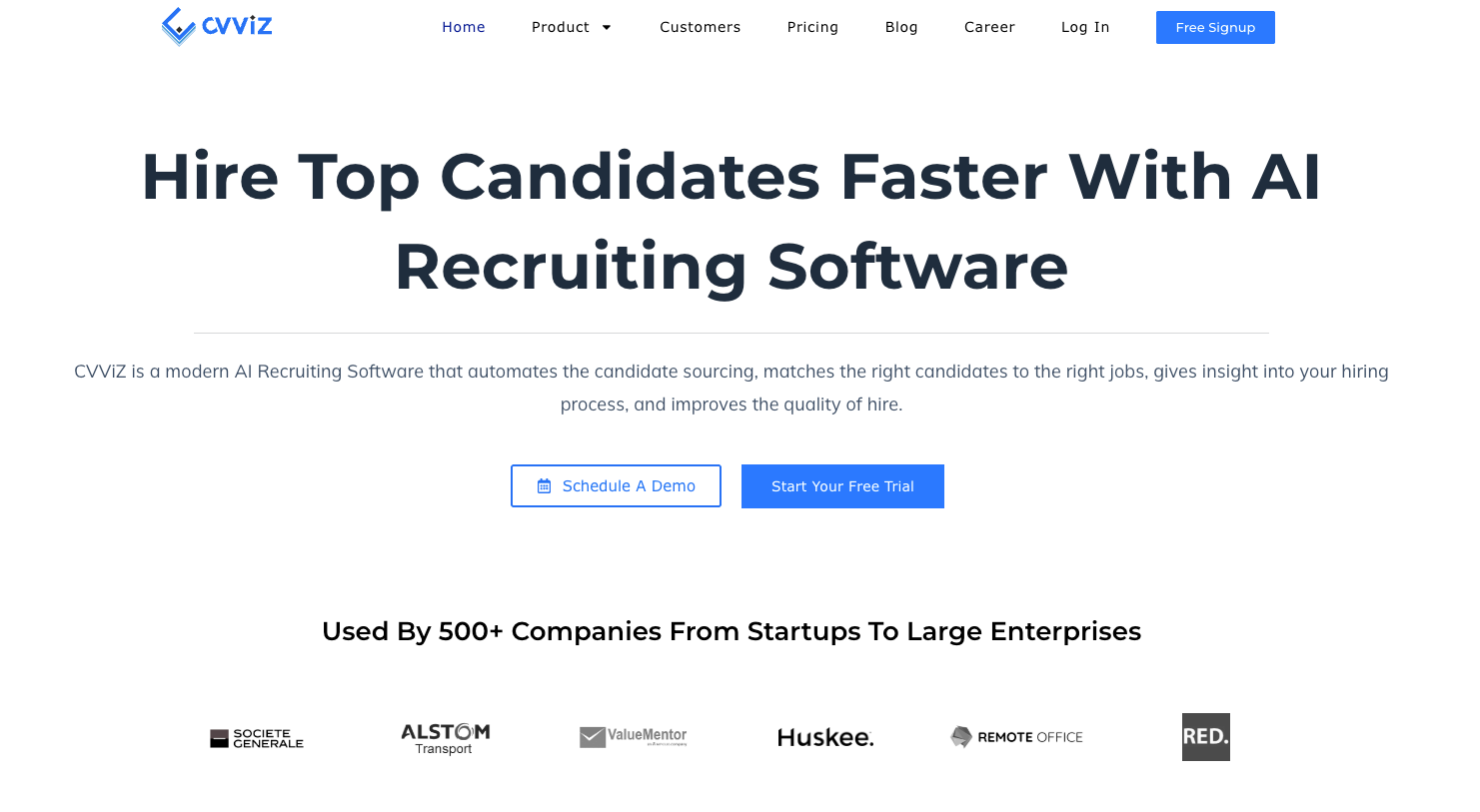 CVViz website